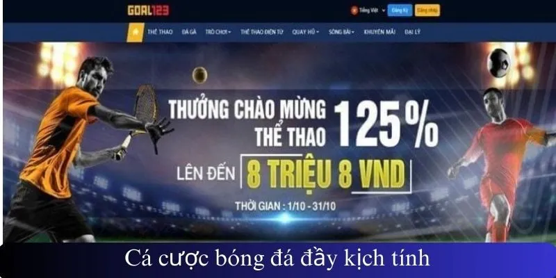 Cá cược bóng đá đầy kịch tính