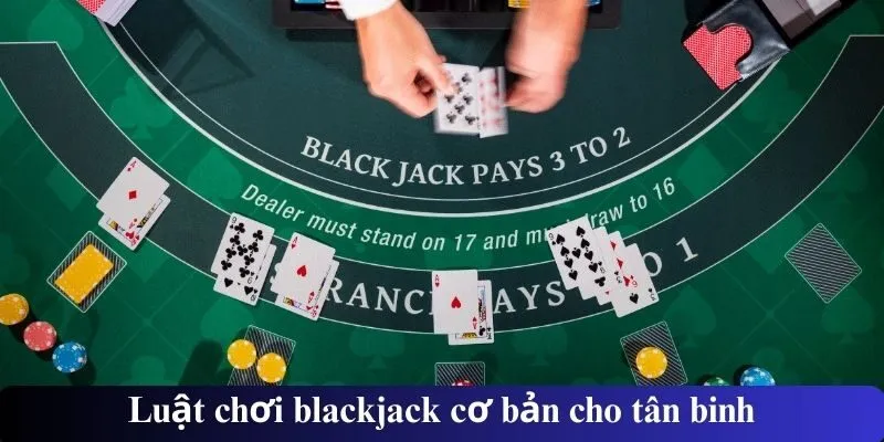 Luật chơi blackjack cơ bản cho tân binh