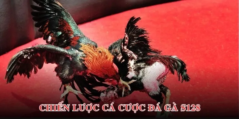 Bí quyết để có chiến thắng lớn khi tham gia cá cược đá gà S128 tại Goal123